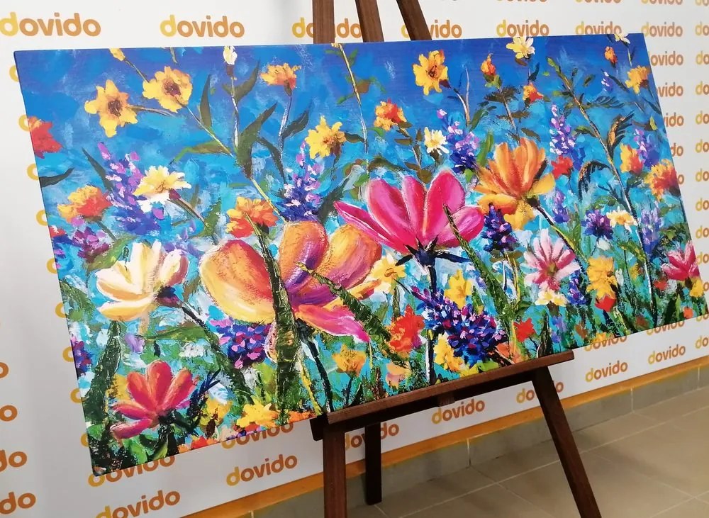 Quadro su tela – Fiori colorati sul prato