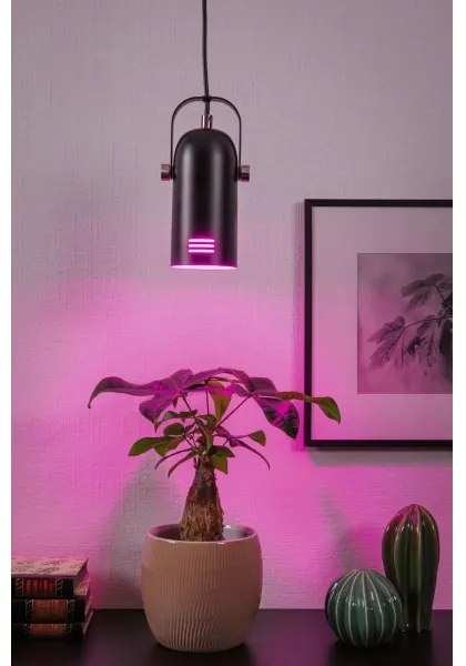 Paulmann 79766 - 1xE27/15W Lampada a sospensione su cavo LAVEA 230V nero