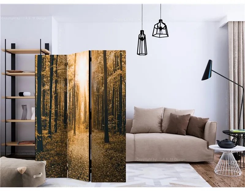 Paravento  Magical Light [Room Dividers]  Colore ---, Dimensioni e Misure 135x172