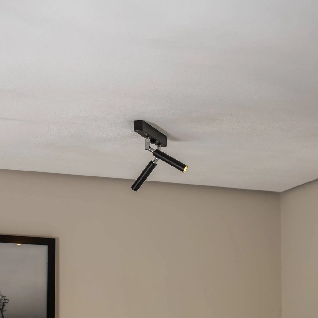 Euluna Nicanor faretto da soffitto nero/cromo a 2 luci