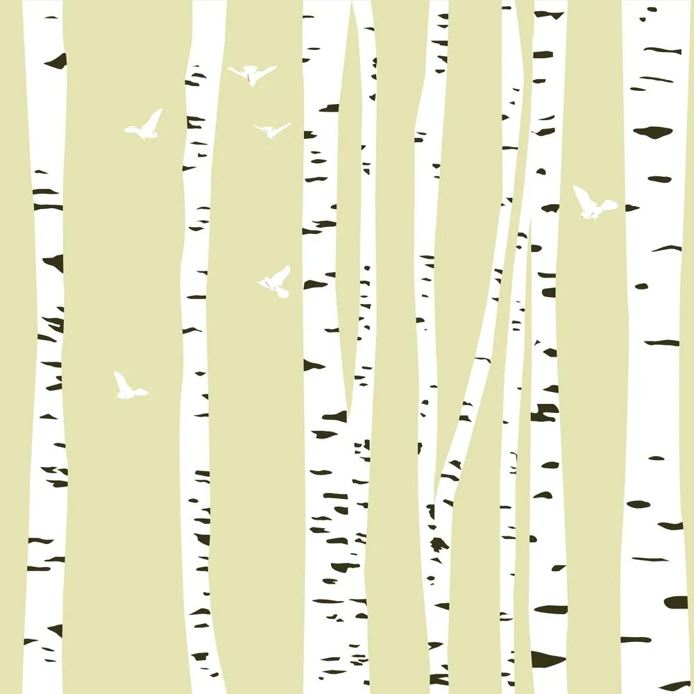 Carta da parati – Foresta di betulle