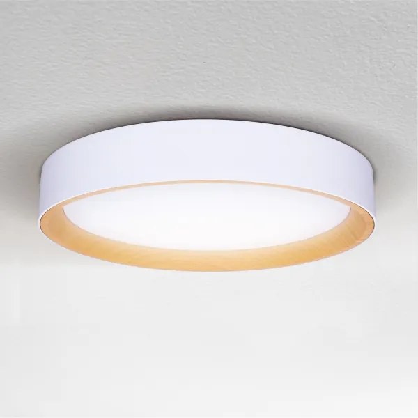 Brilagi -Luce LED dimmerabile LARIOS LED/60W/230V 3000-6500K ø 49 cm white+RC