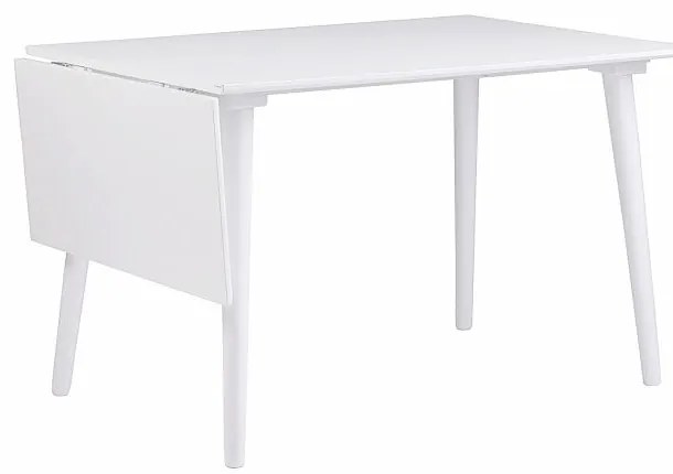 Tavolo da pranzo bianco Lotte Leaf, 120 x 80 cm Lotta - Rowico