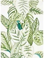 Blätter Tapete Calathea von Sanderson - Botanical Green