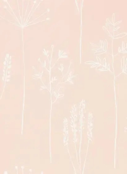 Gräser Tapete Stipa von Scion - Blush