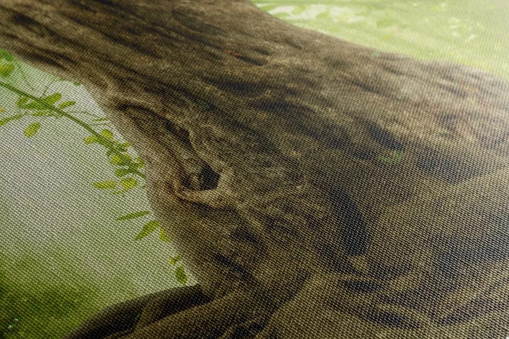 Quadro su tela – Radice dell'albero