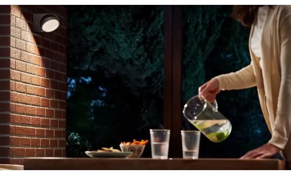 Philips MIMOSA LED 7W 230V 2700K IP44 lampada da parete esterna