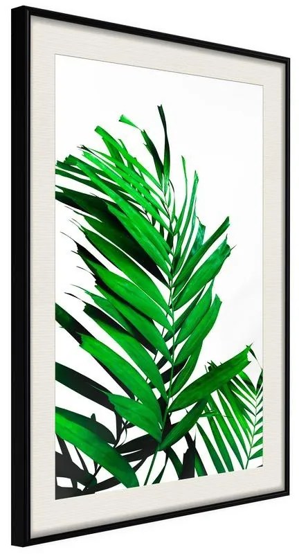 Poster  Emerald Palm  Cornice Quadri Cornice nera con pass-partout, Larghezza x Altezza Home decor 40x60