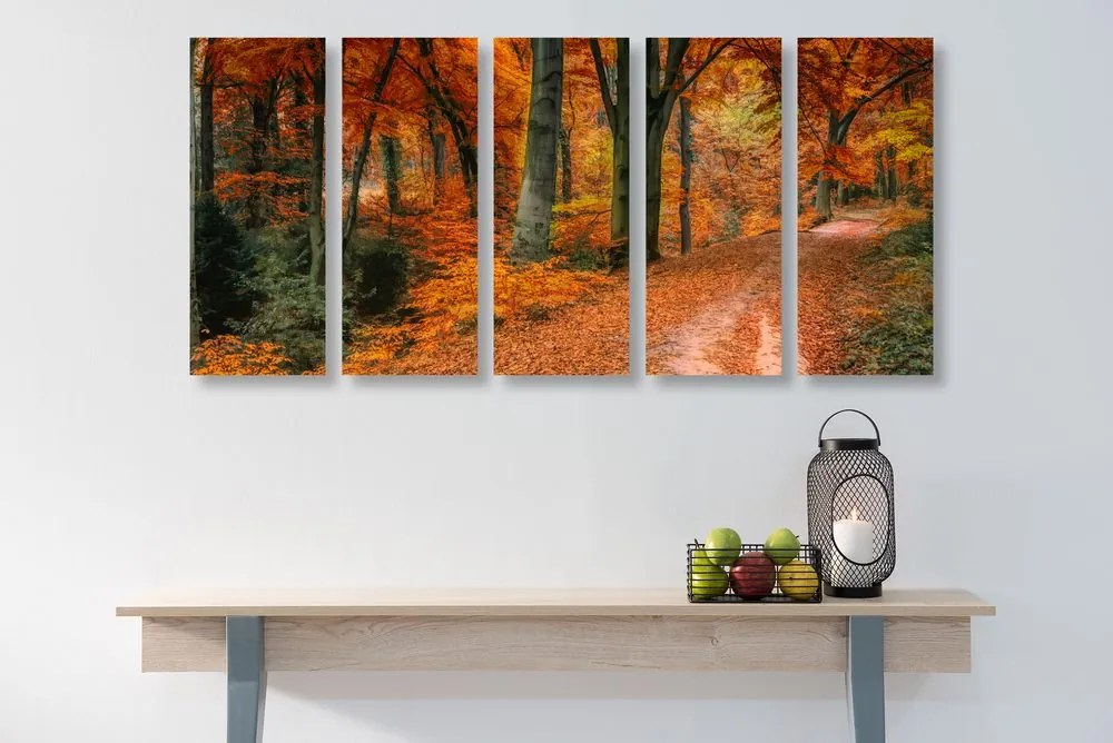 Quadri 5 pezzi – Foresta in autunno