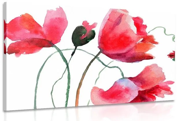 Stampa su tela – Fiori di papavero unici