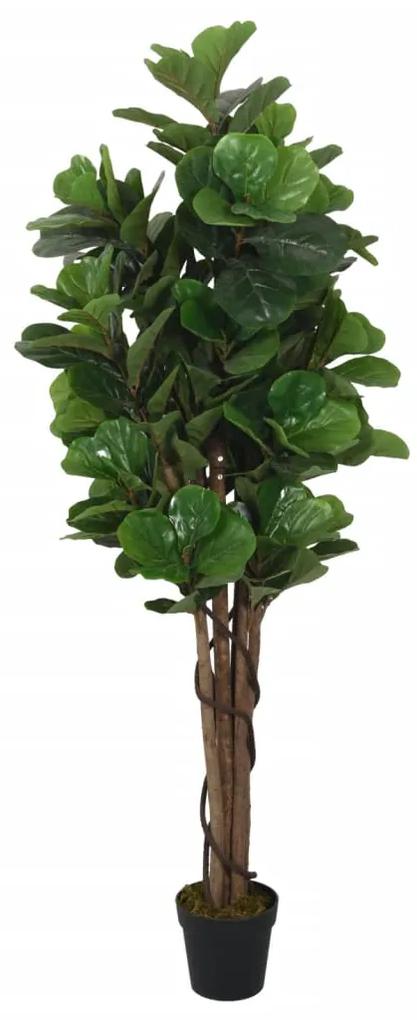 Albero Ficus Lyrata 134 Foglie 120 cm Verde