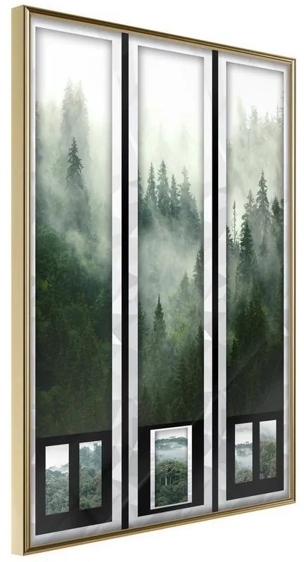 Poster  Eternal Forest – Triptych  Cornice Quadri Cornice d'oro, Larghezza x Altezza Home decor 20x30