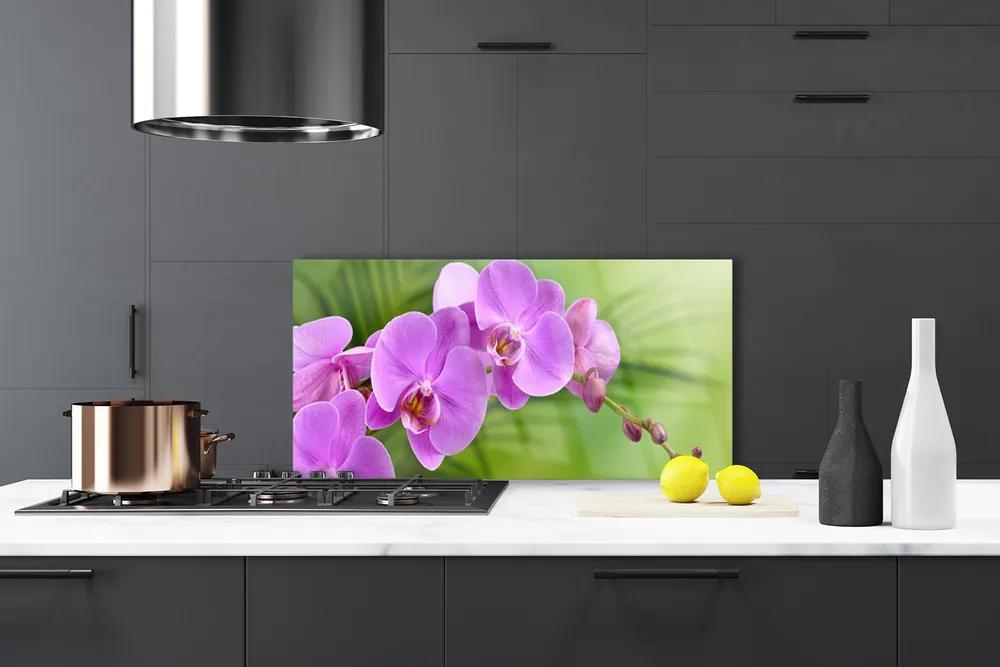 Pannello rivestimento parete cucina Orchidea Fiori di orchidea 100x50 cm
