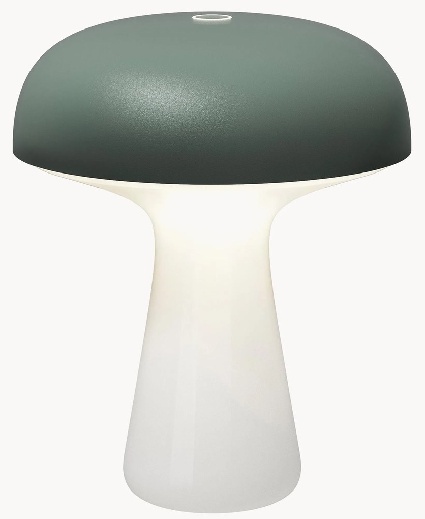 Lampada outdoor piccola portatile a LED con luce regolabile My