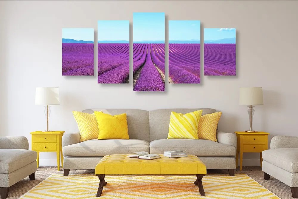 Quadri 5 pezzi – Campo di lavanda infinito