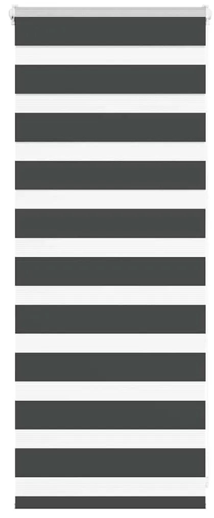 Tenda A Rullo Zebra Nero Larghezza Tessuto 55,9 Cm Poliestere /