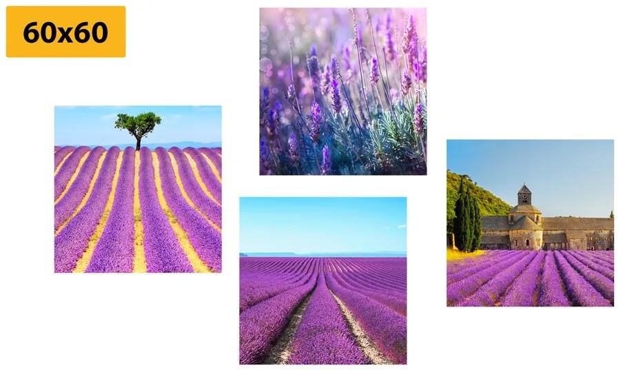 Set di quadri – Campo di lavanda