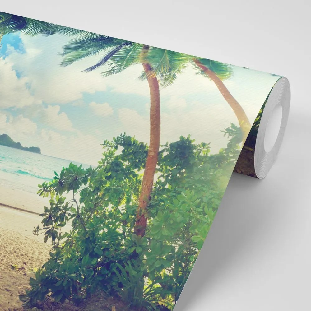 Carta da parati autoadesiva – Tramonto sull'isola di Seychelles
