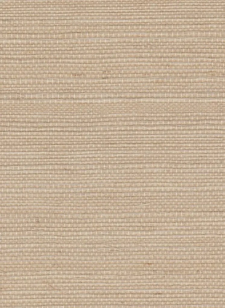 Élitis Carta da parati Sisal - RM 1069 05