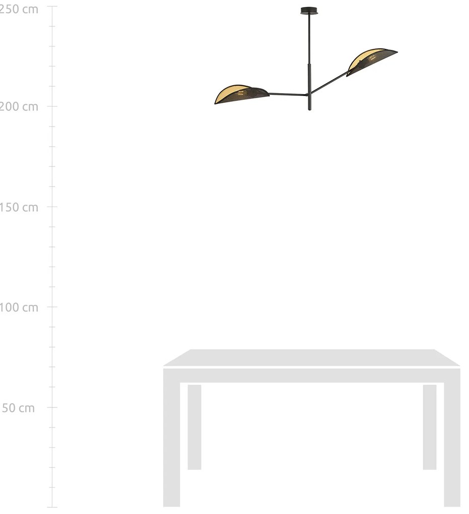 Lampadario 2 Luci Eridano In Acciao Nero E Oro Con Bracci Mobili