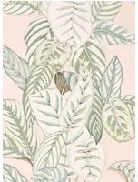 Blätter Tapete Calathea von Sanderson - Orchid/ Eucalyptus