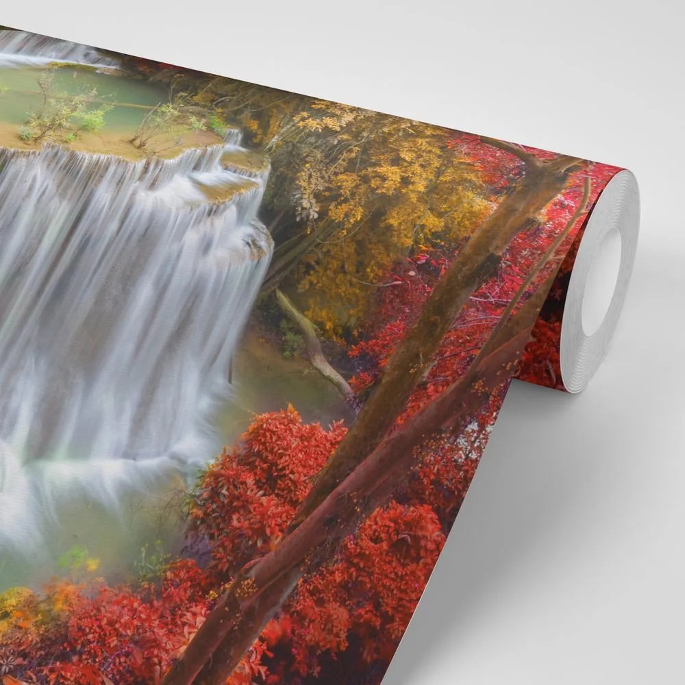 Fotomurale – Cascata nella foresta