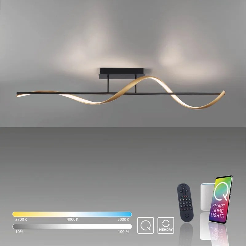 Plafoniera LED Q-Swing ottone IP20 cct da bianco caldo al bianco neutro, 3100 lumen PAUL NEUHAUS
