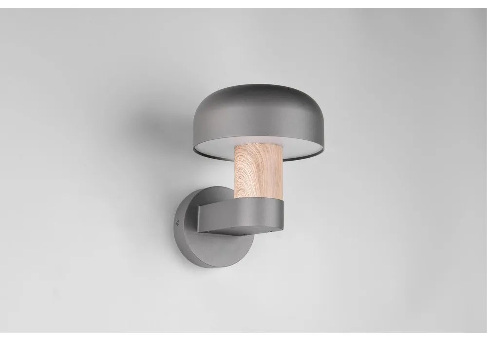 Illuminazione esterna da parete (altezza totale 24,5 cm) Fraser – Trio