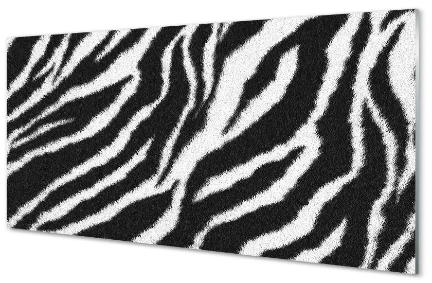 Quadro in vetro Cappotto zebrato 100x50 cm 2 appendini
