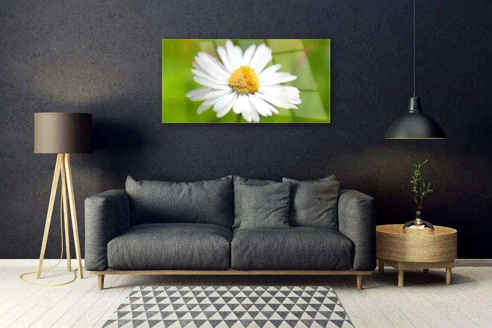 Quadro in vetro Pianta naturale margherita 100x50 cm