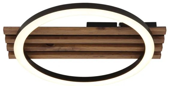 Globo 67353D1 - Plafoniera LED TISHA LED/12W/230V 3000K 30x34 cm