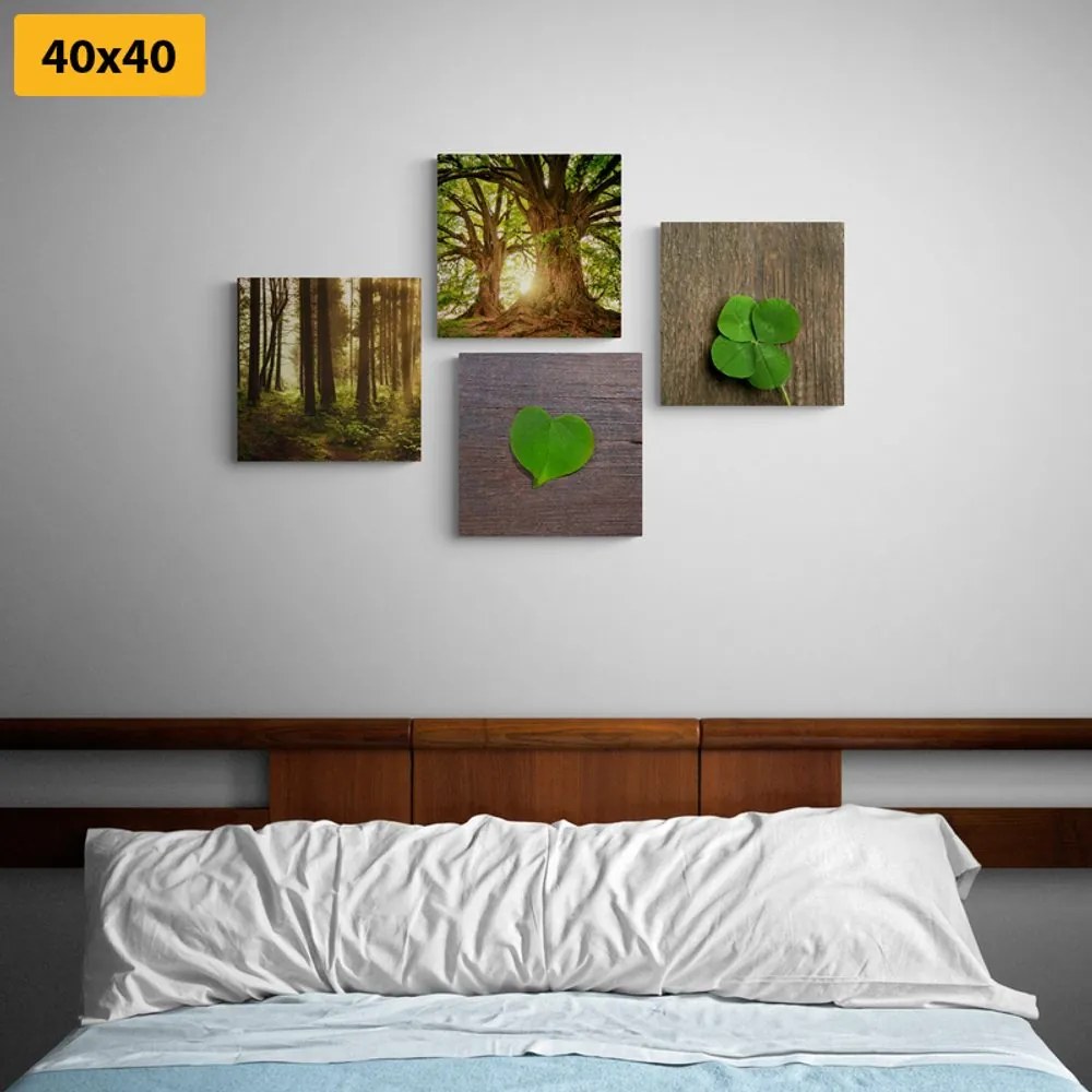 Set di quadri – Brezza della natura