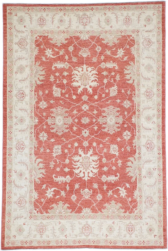 Tappeto orientale 170 x 250 (Afghanistan) Annodato A Mano