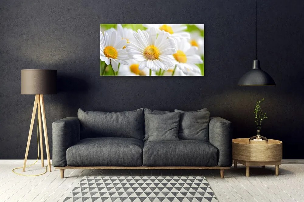 Quadro in vetro Pianta naturale margherita 100x50 cm