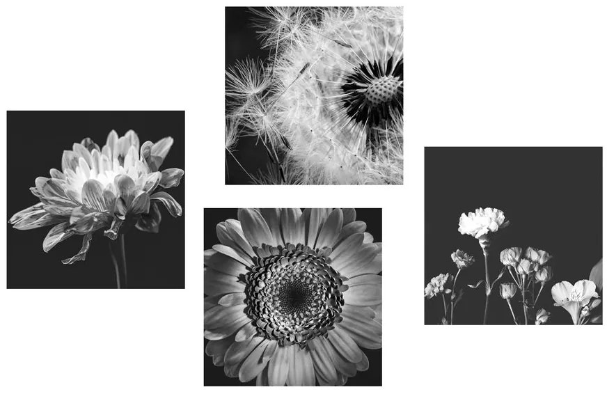 Set di quadri – Fiori delicati in bianco e nero