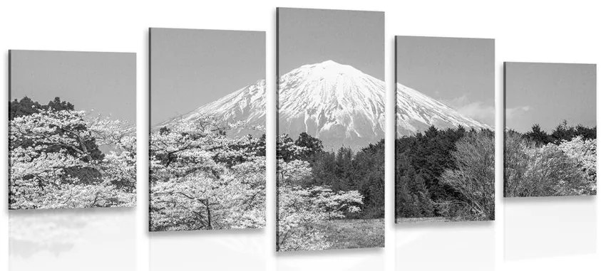 Quadri 5 pezzi – Monte Fuji in bianco e nero