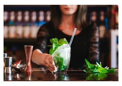 Tazze in set con parete doppia/da latte in vetro 6 pz 350 ml – Vialli Design