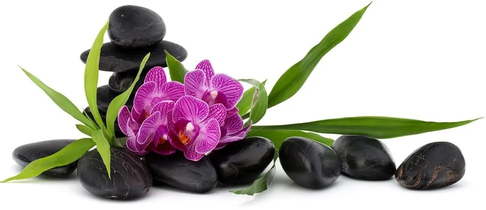 Carta da parati – Orchidea viola in un ambiente zen