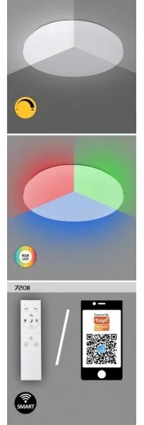 Rabalux 71036 - Plafoniera LED RGB dimmerabile CERRIGEN LED/48W/230V