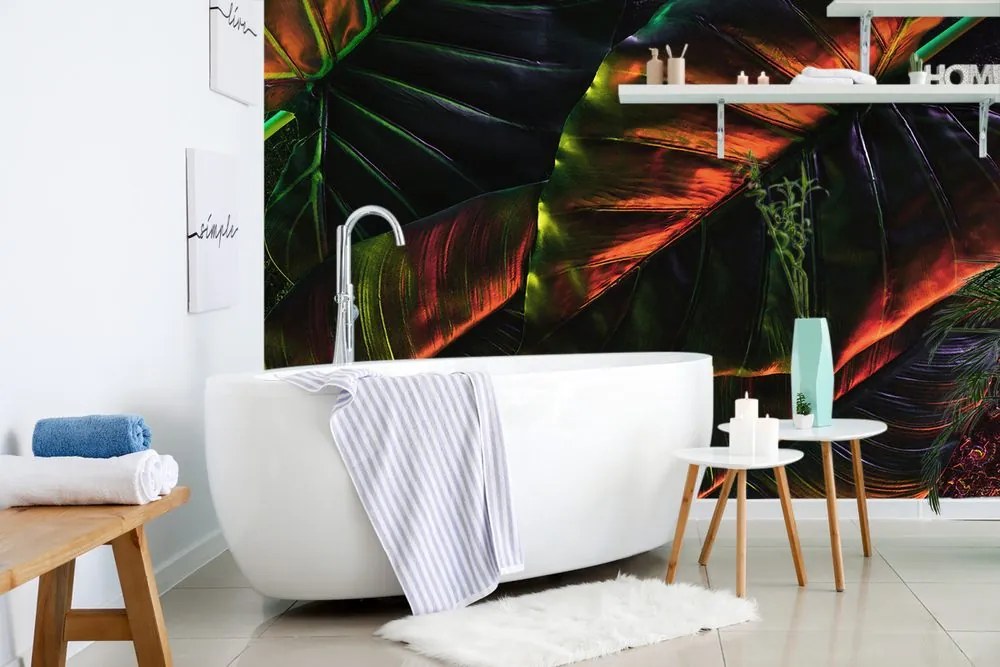 Carta da parati – Foglie di palma tropicali