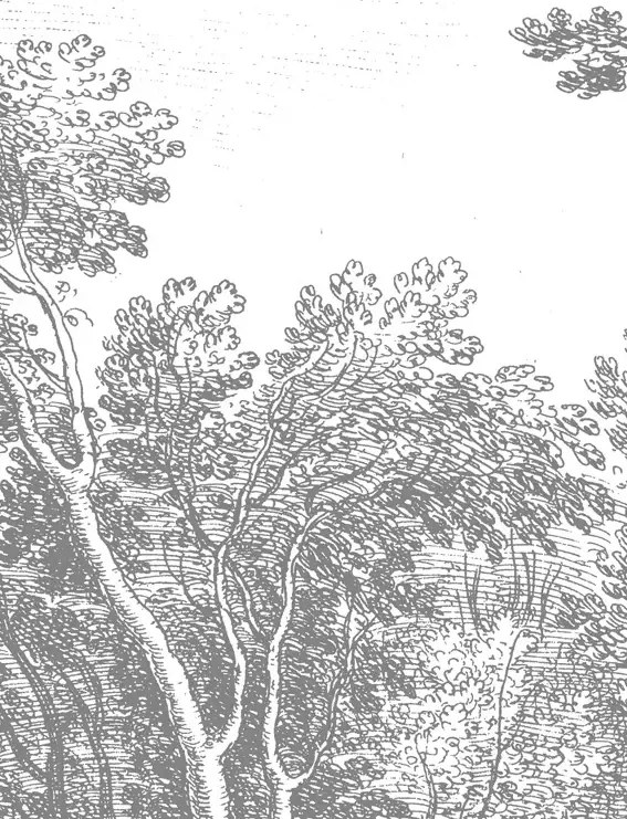 KEK Amsterdam Carta da parati panoramica Engraved Landscapes 3 - BW - Breite 3.896m