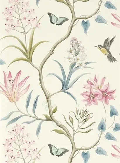 Exotische Tapete Clementine von Sanderson - Dusky Pink
