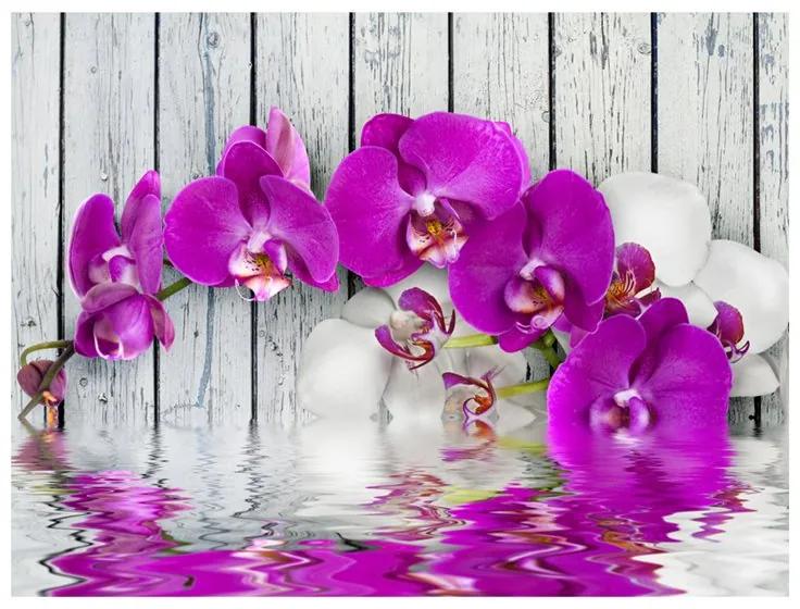 Fotomurale Violet orchids with water reflexion