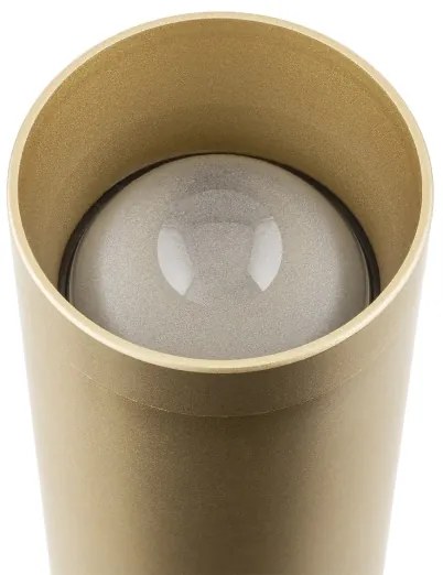 Argon 7224 - Applique a LED GRECO 2xLED/4,2W/230V 3000K oro