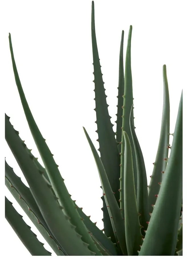 Pianta artificiale (altezza 51 cm) Aloe Vera - House Nordic