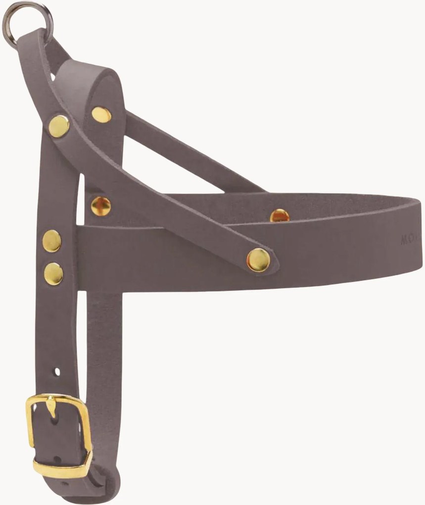 Imbracatura per cani in pelle Classic, varie misure