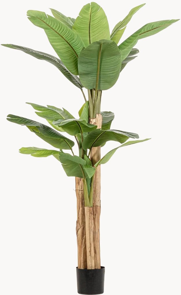 Pianta artificiale XL Baa