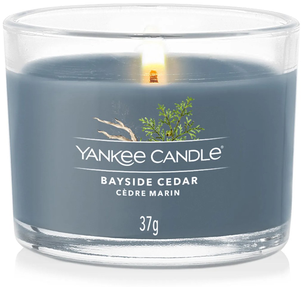 Candela votiva Bayside Cedar Yankee Candle