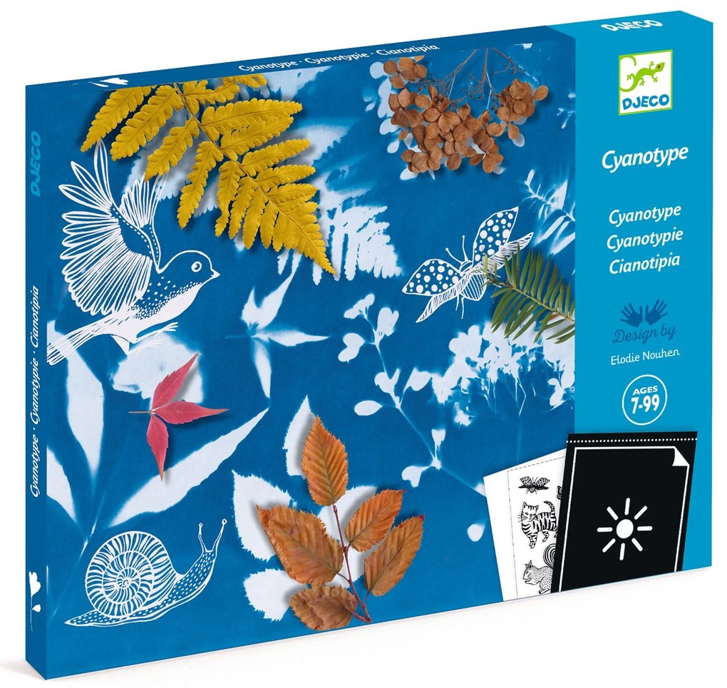 Set creativo iniziale - cianotipia