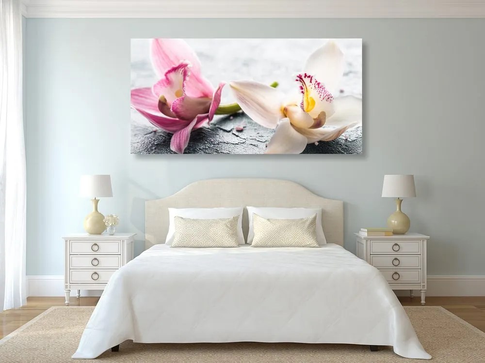 Quadro su tela – Fiori di orchidea